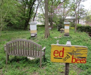 Beehives, May 7, 2014