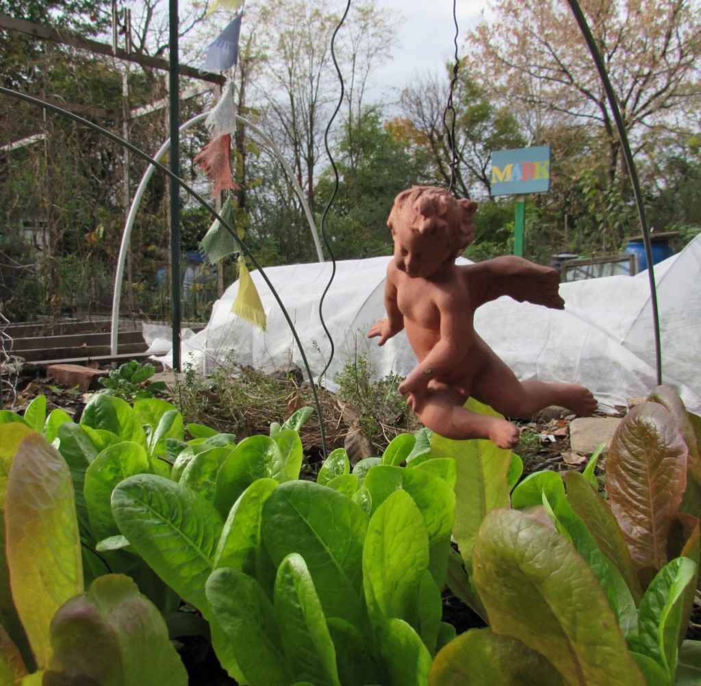 My plot at the Garden RUN community garden in Roxborough, Oct. 31, 2014