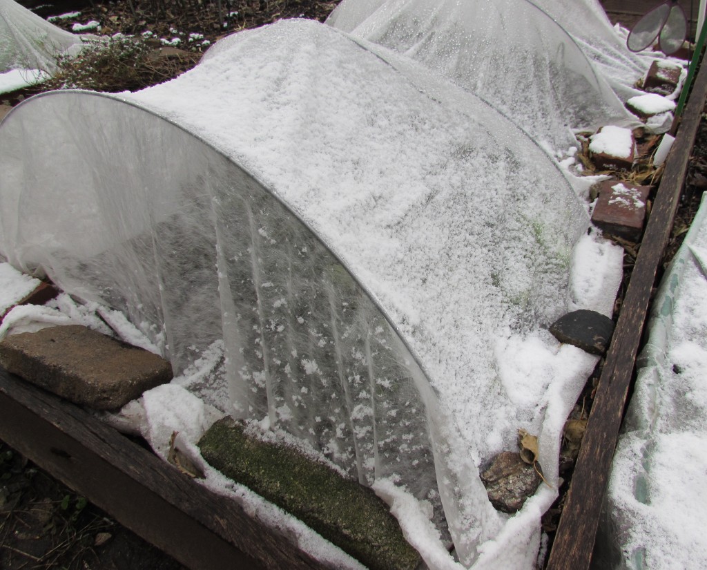 Rover cover with a dusting of snow, Dec. 11, 2014