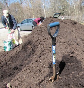 Compost in early April was cleaner that plastic-littered stuff later in the month