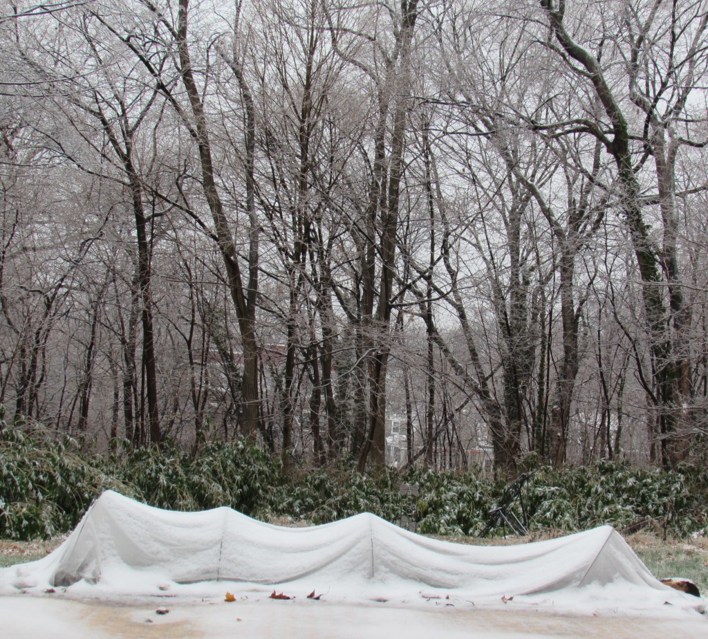 The row cover on my winter garden, Dec. 17, 2016